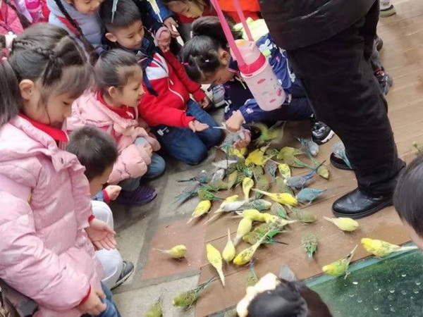12_调整大小.jpg